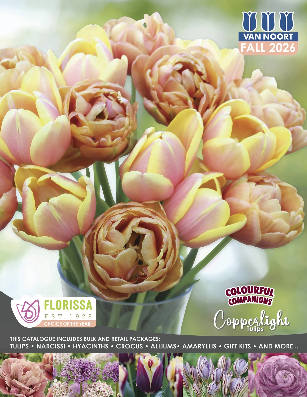 Welcome to Our Store