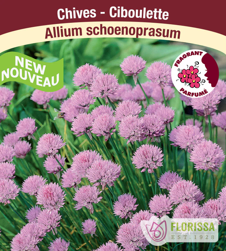 Perennials - New This Spring