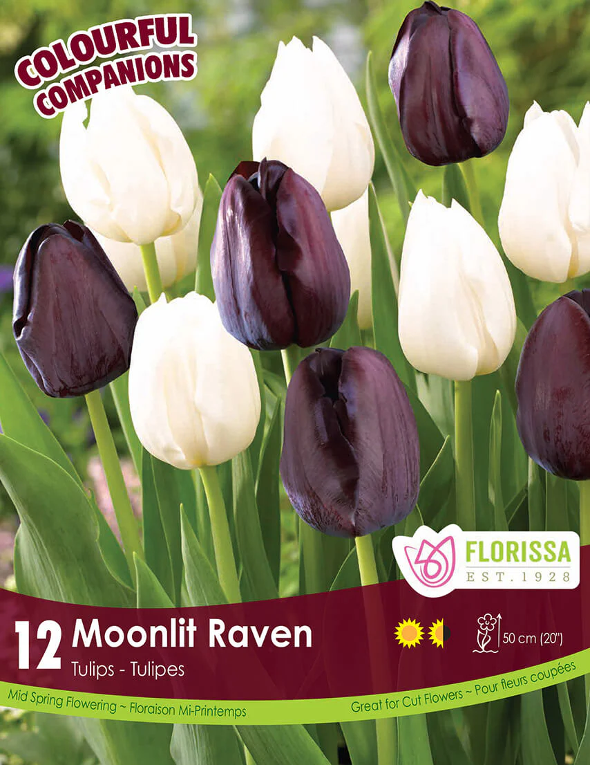 Fall Retail - New This Fall