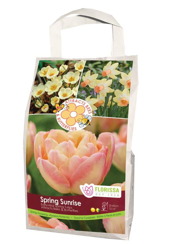 Fall Retail - Gift Kits